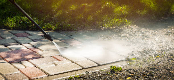 Animal Enclosure Cleaning in Little Elm, TX